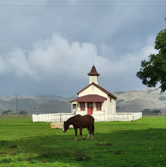 Meet your Posher Beth - Picture 8 of 11